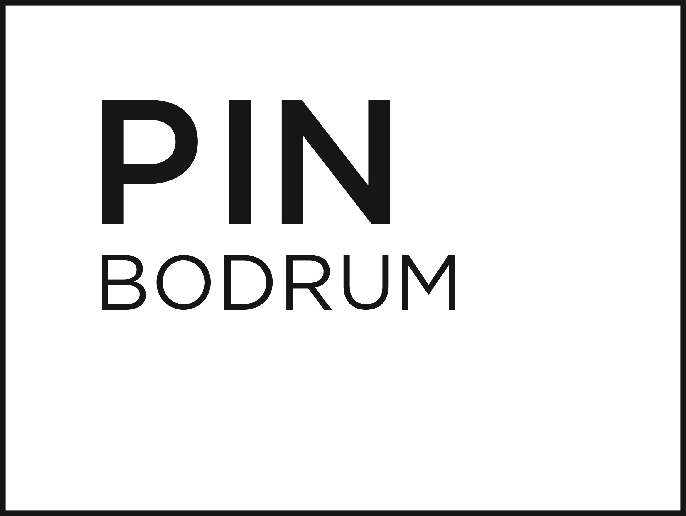 PIN_LOGO_sml